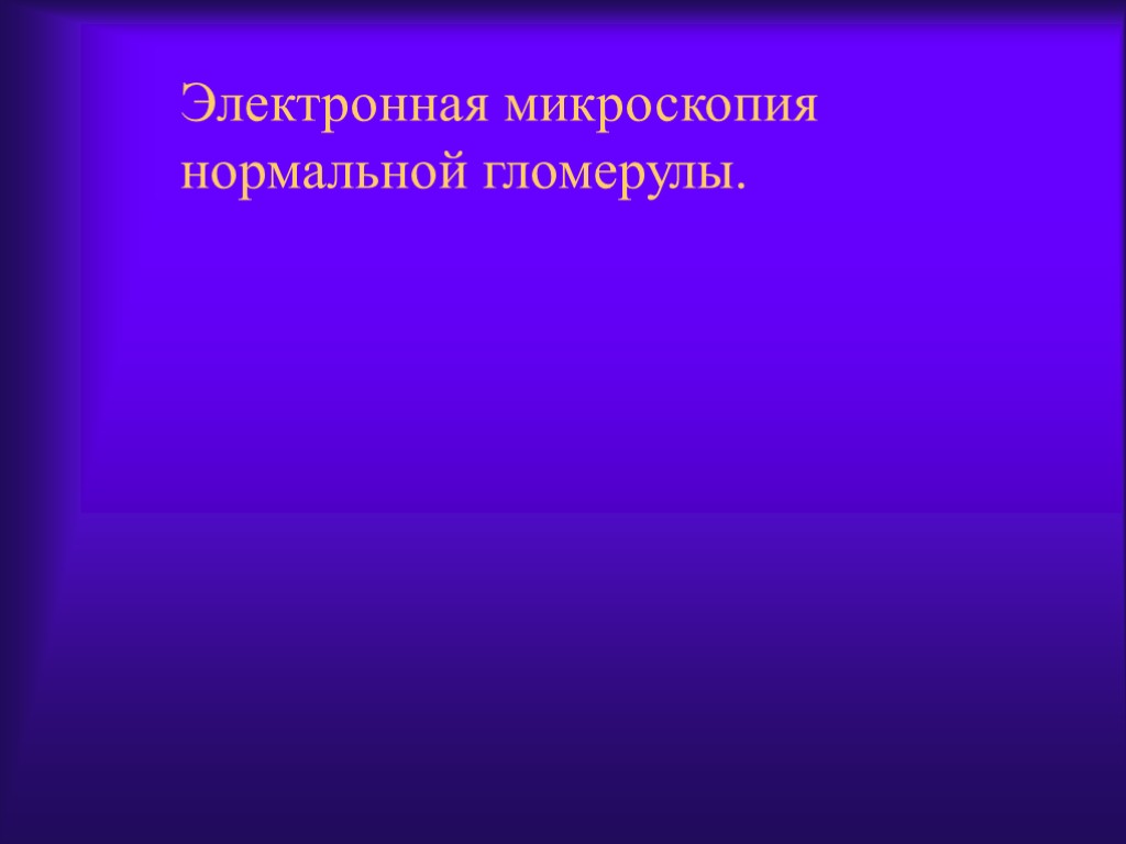 Электронная микроскопия нормальной гломерулы.